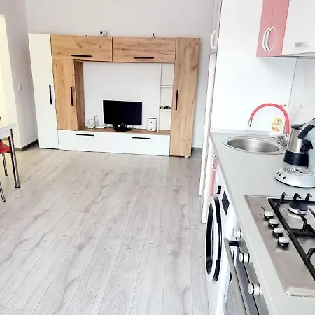 Feel Like 3 Apartment Piatra Neamt